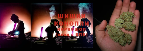 гидра Касимов