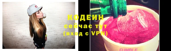 круглые Карпинск