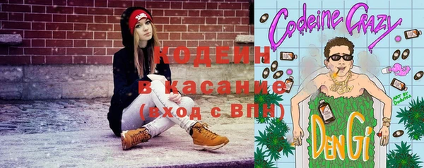 круглые Карпинск