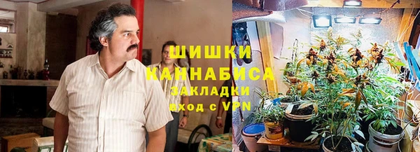 гидра Касимов