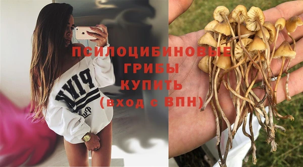 круглые Карпинск