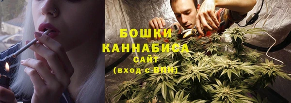 круглые Карпинск