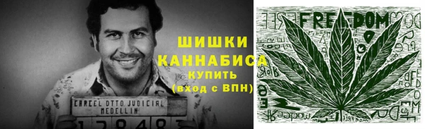гидра Касимов