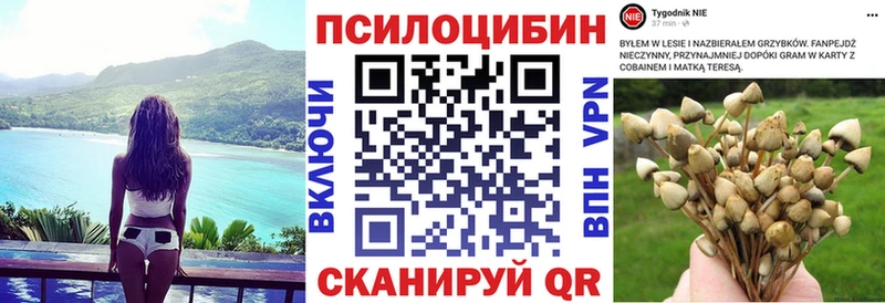 блэк спрут как войти  Краснообск  Галлюциногенные грибы мицелий 